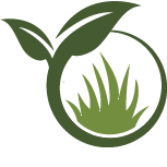 New Braunfels Landscapers