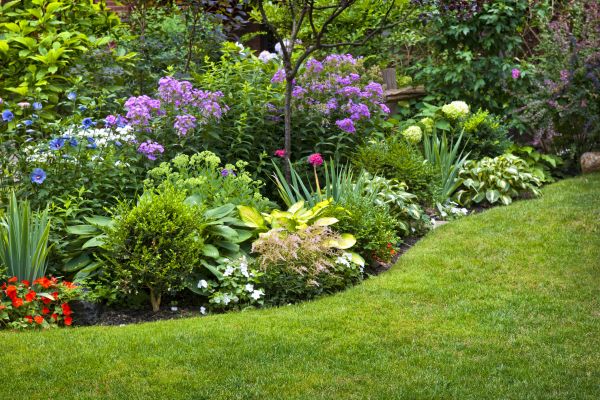Flower Bed Service in New Braunfels