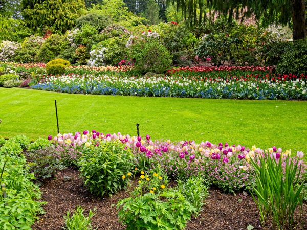 Residential Landscape Design in New Braunfels