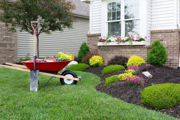Tree And Shrub Planting in New Braunfels