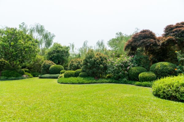 Tree Landscaping in New Braunfels