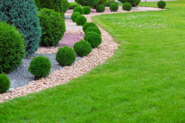 Edging Stones Installation in New Braunfels
