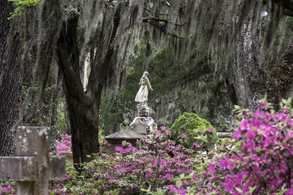 Cemetery Landscaping in New Braunfels