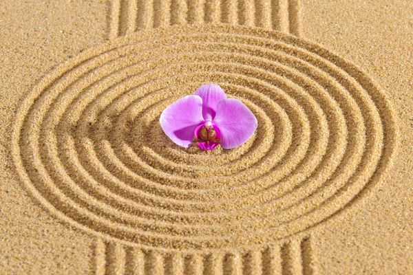 Sand Garden Landscaping in New Braunfels