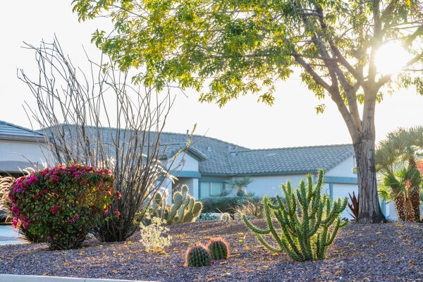 Dryscape Landscaping in New Braunfels