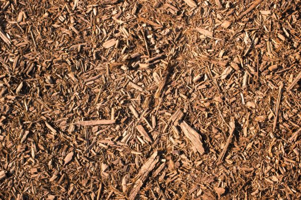 Wood Chips Removal in New Braunfels