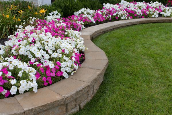 Flower Bed Creation