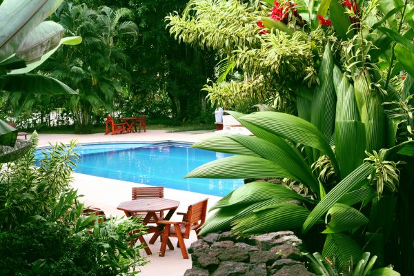 Pool Area Landscaping in New Braunfels
