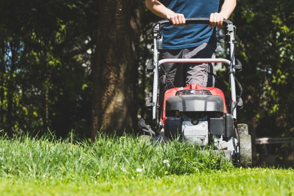 Garden Trimming Service in New Braunfels