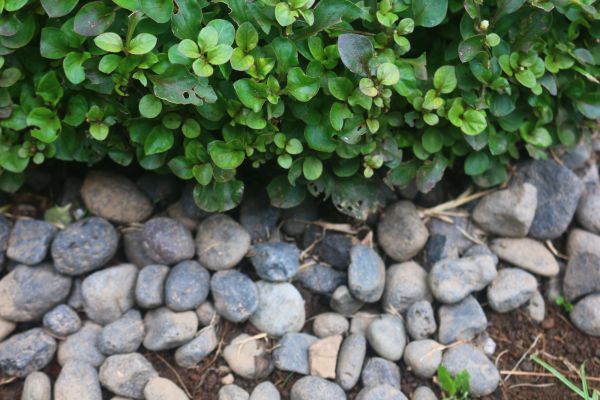 River Stone Installation in New Braunfels