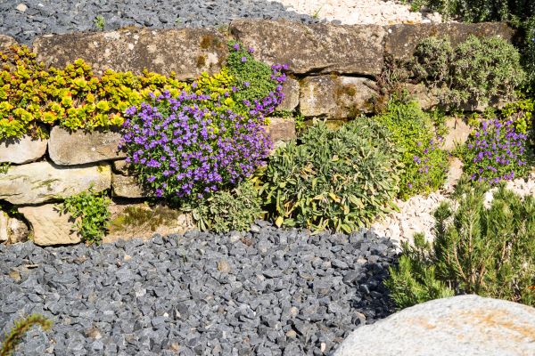 Landscaping Rocks Installation in New Braunfels