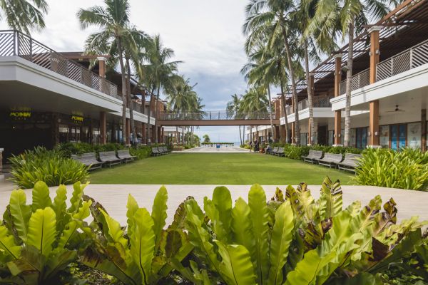 Commercial Lawn Renovation in New Braunfels