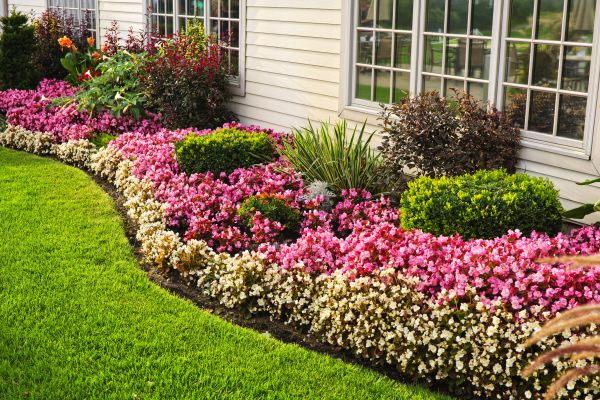 Garden Landscape Design in New Braunfels