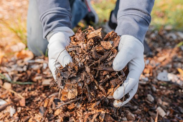 Shredded Mulch Installation in New Braunfels