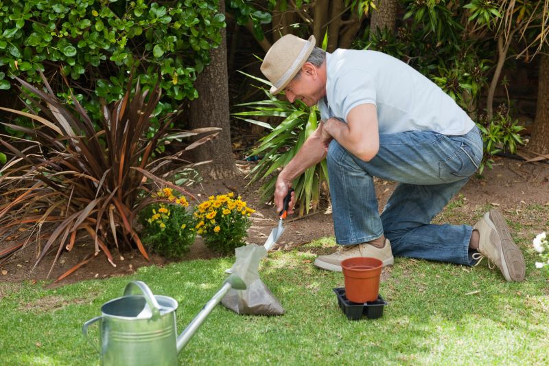Spring Landscaping in Action